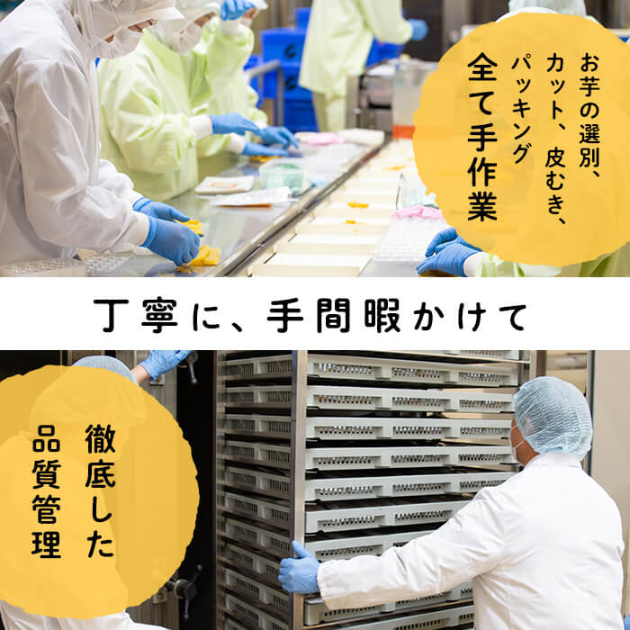 鹿児島県志布志市のふるさと納税 大地の黄金干し芋 計500g(100g×5袋) p7-039