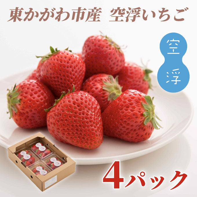 空浮いちご 4パック「北海道・沖縄・離島へのお届け不可」 果物 フルーツ 香川県産 ハウス育ち デザート おやつ 食後 お菓子作り ケーキ作り 
