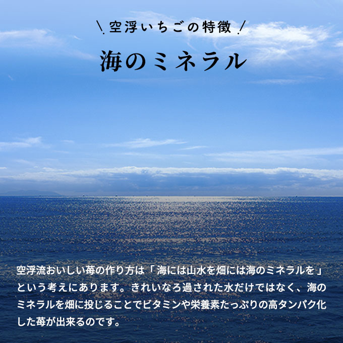 空浮いちご 4パック「北海道・沖縄・離島へのお届け不可」 果物 フルーツ 香川県産 ハウス育ち デザート おやつ 食後 お菓子作り ケーキ作り 