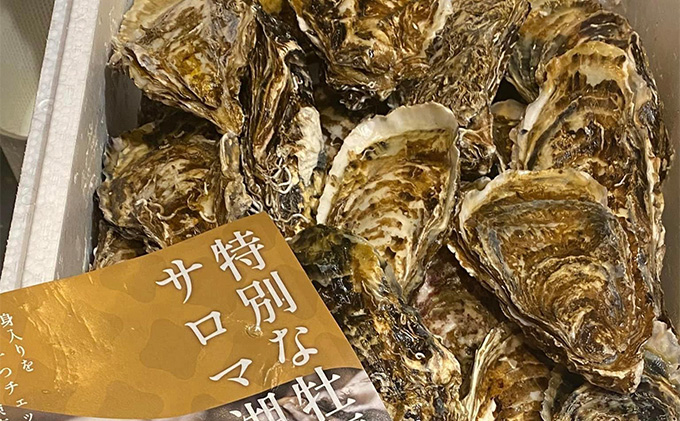 先行予約 北海道 オホーツク サロマ湖産 殻付き カキ 生食可 1.5kg 牡蠣職人厳選 牡蠣 国産 貝付き 魚貝類 生牡蠣 ノロウイルス検査実施 海のミルク 海鮮 海の幸 つまみ 晩酌 お酒のあて 