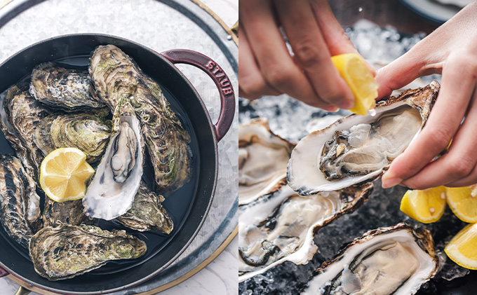 先行予約 北海道 オホーツク サロマ湖産 殻付き カキ 生食可 1.5kg 牡蠣職人厳選 牡蠣 国産 貝付き 魚貝類 生牡蠣 ノロウイルス検査実施 海のミルク 海鮮 海の幸 つまみ 晩酌 お酒のあて 