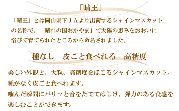 ぶどう 2026年 先行予約 シャイン マスカット 晴王 約800g×1房 ブドウ 葡萄  岡山県産 国産 フルーツ 果物 ギフト 果物類 