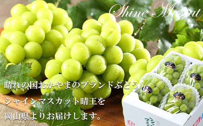 ぶどう 2026年 先行予約 シャイン マスカット 晴王 3房～6房 約1.5kg  ブドウ 葡萄  岡山県産 国産 フルーツ 果物 ギフト 果物類 