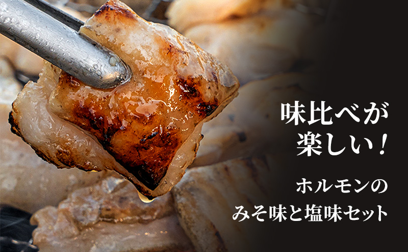 たきもとのホルモンセット（みそ・塩） 豚肉/ホルモン 