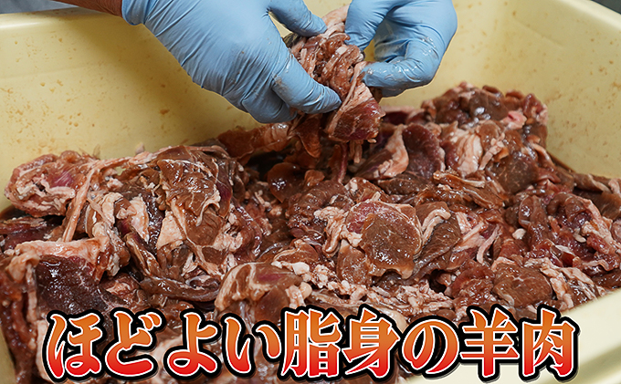 北海道赤平市のふるさと納税 たきもとのホルモン（塩味）・味付ジンギスカン 豚肉 羊肉 ラム肉 ふるさと納税