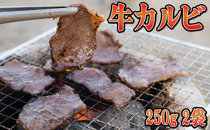 北海道赤平市のふるさと納税 焼肉ジュウジュウ！3種の焼肉セット 羊肉 ラム肉 お肉 牛肉 バーベキュー