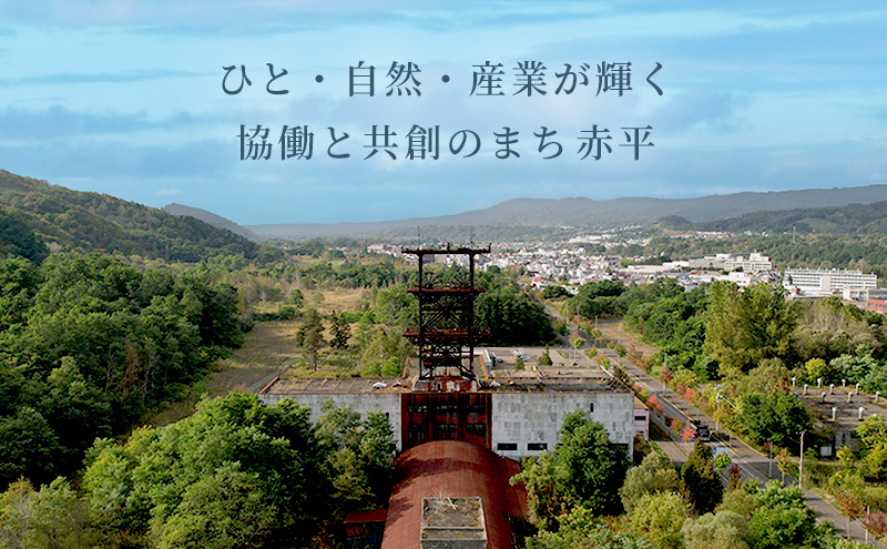 北海道赤平市のふるさと納税 たきもとのホルモン（塩味）・味付ジンギスカン 豚肉 羊肉 ラム肉 ふるさと納税