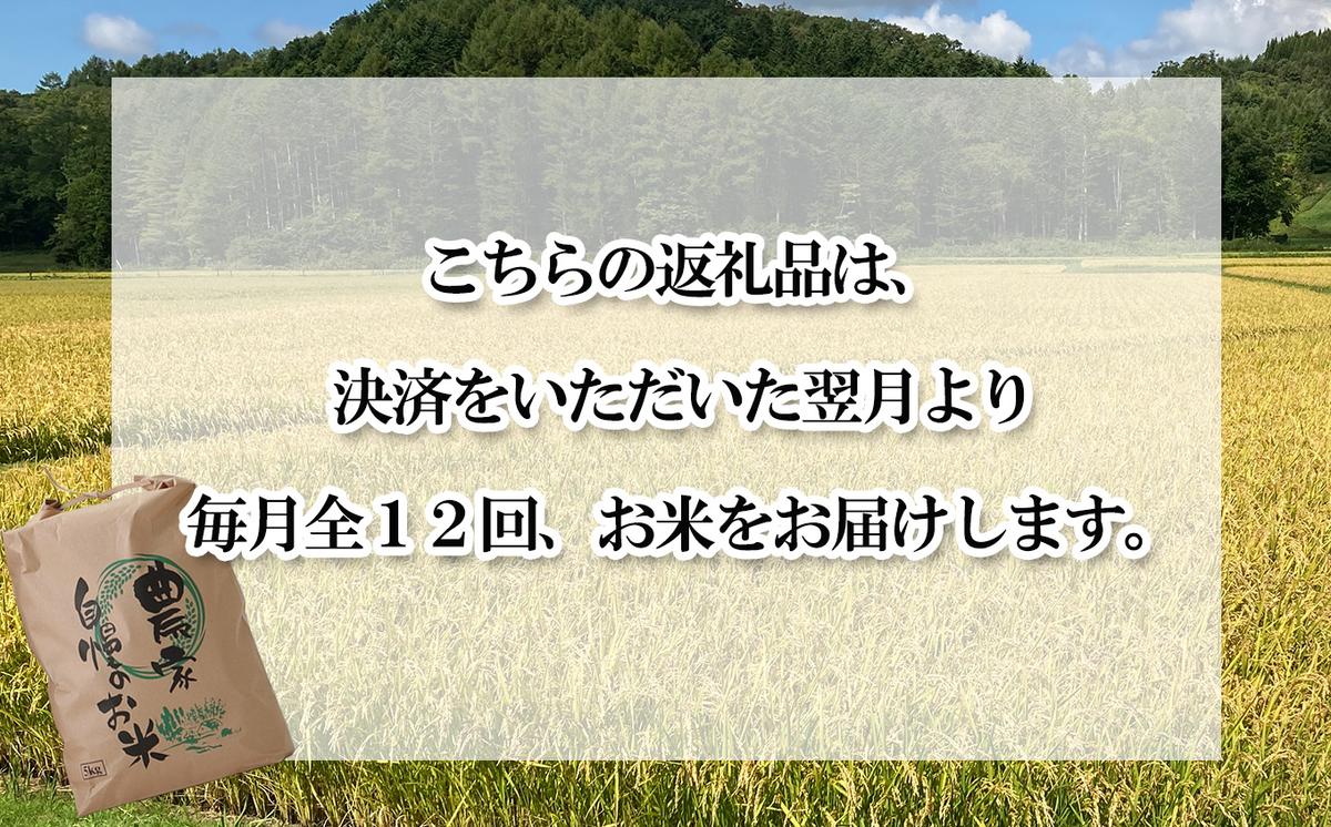 ＜ 定期便 12回 ＞ 北海道産 希少米 おぼろづき 白米 5kg 毎月12回