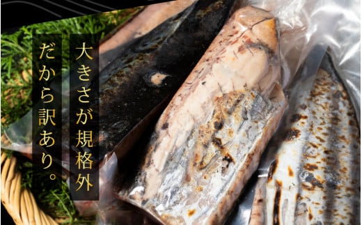 高知県芸西村のふるさと納税 t141kyf　《隔月（2ヶ月に1回）3ヶ月定期便》訳あり 海鮮「カツオたたき1.5Kg」規格外 サイズ不揃い傷 わけあり鰹 人気 ランキング 定期 3回 本場 高知 かつおのたたき【高知県共通返礼品】冷凍 食品 訳アリかつおのタタキ【koyofr】故郷納税 24000円 食べ物 秋 旬 熨斗 のし