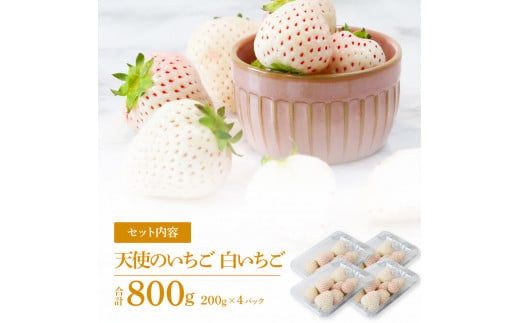 SKS047　Berry農園 天使のいちご（白いちご）