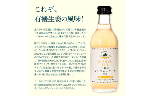 SKS050　土佐山ジンジャーエール辛口12本セット ジンジャーエール 辛口 飲み物 セット お歳暮 御歳暮 ギフト ドリンク  大人 ジンジャー ジュース 炭酸飲料 お取り寄せ 美味しい おいしい 贈り物 故郷納税 19000円 ふるさとのうぜい 高知県産 生姜 芸西村 返礼品