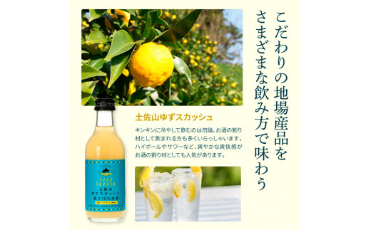 SKS048　土佐山ドリンク飲み比べ12本セット ジンジャーエール 辛口 マイルド ゆずスカッシュ スカッシュ 飲み物 詰め合わせ セット お歳暮 ギフト ドリンク  ゆず ジンジャー ジュース 飲み比べ 贈り物 故郷納税 19000円 ふるさとのうぜい 高知 芸西村 返礼品