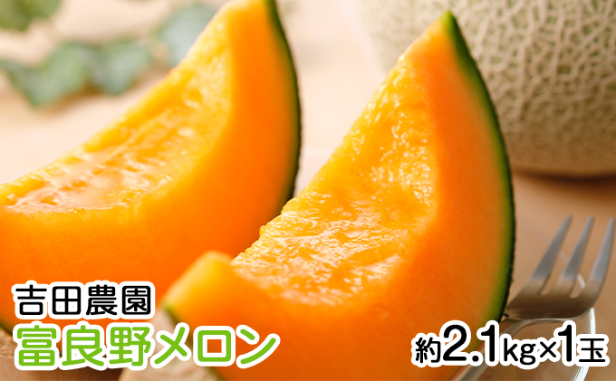 【北海道富良野市】【2026年8月下旬より発送】北海道 富良野 メロン 赤肉 約2.1kg×1玉 (吉田農園) メロン フルーツ 果物 新鮮 甘い 贈り物 ギフト 道産 ジューシー おやつ ふらの ブランド 夏