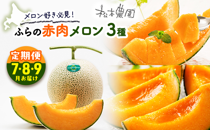 【2026年7～9月連続お届け】メロン 好