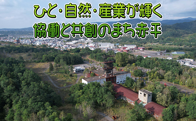北海道赤平市のふるさと納税 木の名刺　ヒノキ 工芸品 雑貨 日用品 文房具