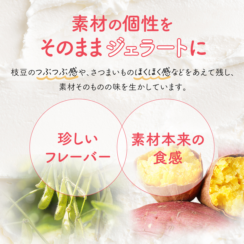 宮城県岩沼市のふるさと納税 アイス みんなのジェラート 12個 詰め合わせ セット 岩沼みんなの家 ジェラート お米 ずんだ さつまいも とうもろこし かぼちゃ 食べ比べ アイスクリーム 氷菓 スイーツ デザート おやつ ヘルシー 東北 震災 支援 冷凍 冷凍配送 宮城 宮城県 岩沼市