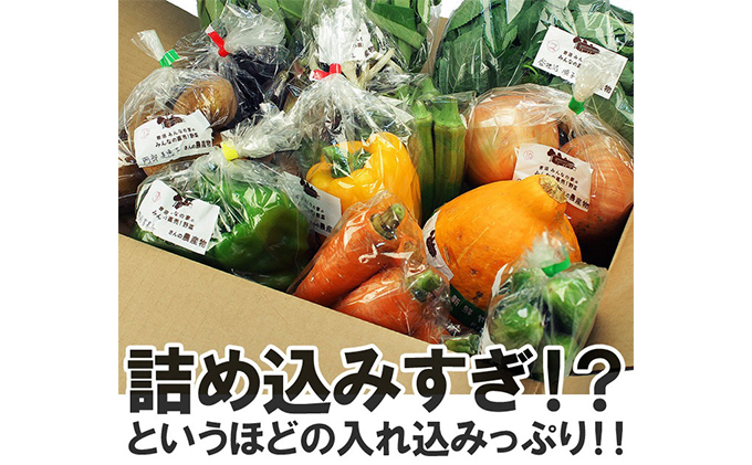 【定期便全6回】連続6ヶ月お届け！岩沼みんなの家の「みんなの直売！野菜」セット詰め合わせ 詰合せ 