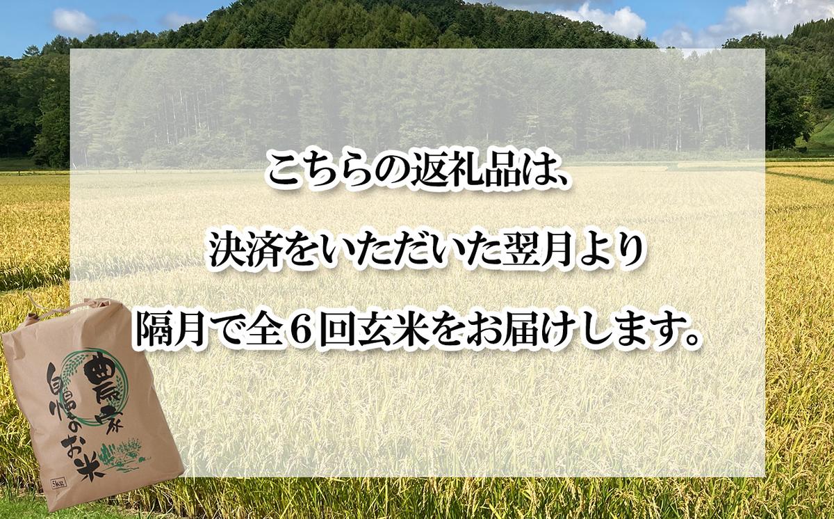 ＜ 定期便 6回 ＞ 北海道産 希少米 おぼろづき 玄米 計 10kg (5kg×2) 隔月 6回