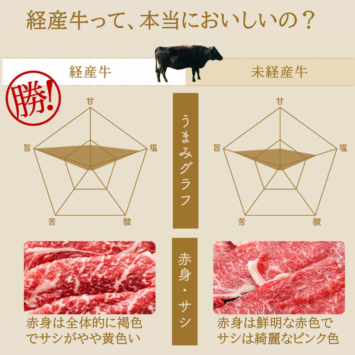 兵庫県市川町のふるさと納税 但馬牛経産牛　焼肉用（肩・モモ）500ｇ 010AA05N.／焼肉セット 黒毛和牛 いちかわ精肉店 経産牛 牛肉 国産 bbq バーベキュー 焼き肉セット アウトドア キャンプ 冷凍 焼き肉用
