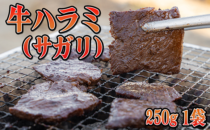 人気の特製ホルモン入り3種の焼肉セット お肉 牛肉 バーベキュー 牛肉/ホルモン 