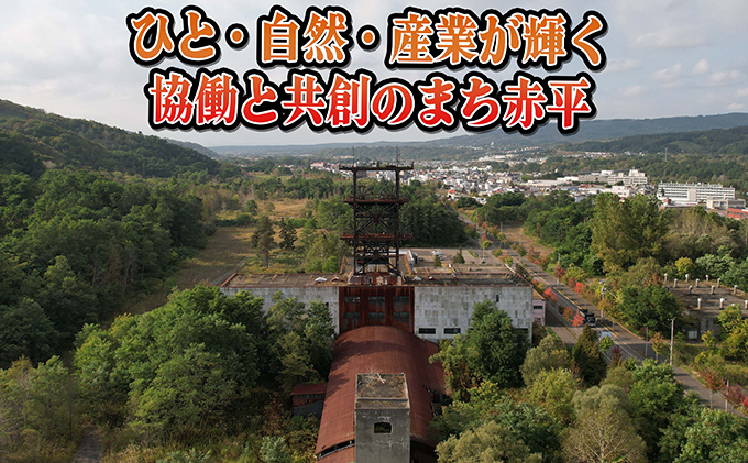 人気の特製ホルモン入り3種の焼肉セット お肉 牛肉 バーベキュー 牛肉/ホルモン 