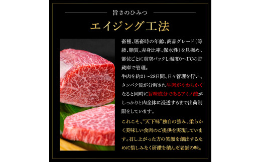 TKA221　天下味 エイジング工法 熟成肉 土佐和牛 特選ヒレ 牛 サイコロステーキ 500g×4 合計2kg エイジングビーフ ヒレ フィレ 国産 肉 牛肉 和牛 人気 老舗焼肉店 冷凍 新鮮 真空パック 高級 高知 高知県 芸西村 故郷納税 278000円 返礼品 贈り物 贈答 ギフト