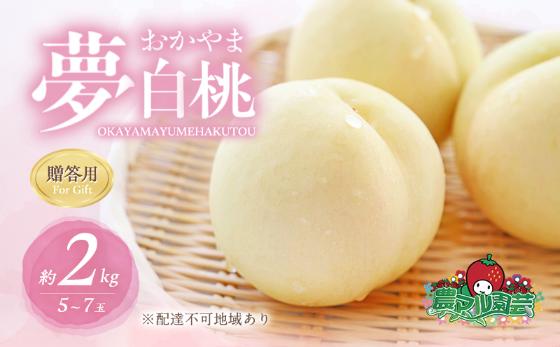 yRԔ֎sz 2026N s\    2kg 5`7 p   t[c ʕ R Ԕ֎sY _}| _