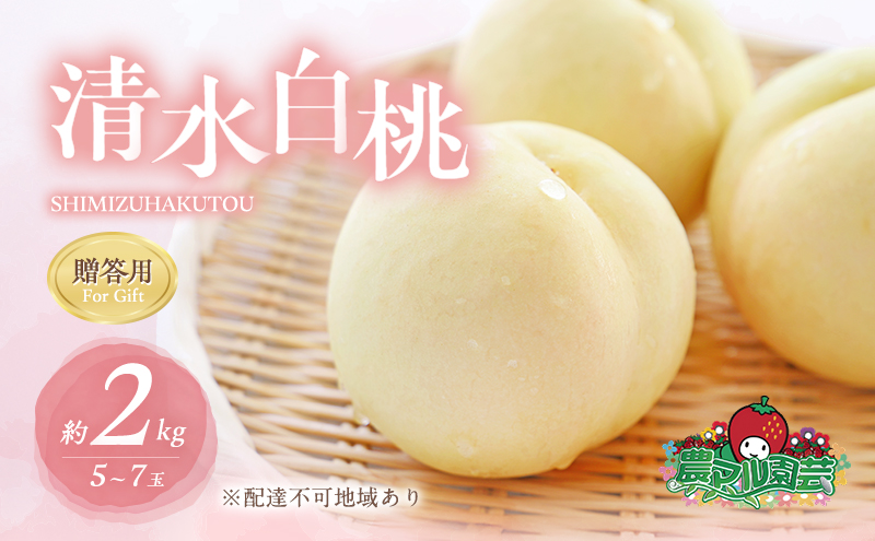 yRԔ֎sz 2026N s\   2kg 5`7 p   t[c ʕ R Ԕ֎sY _}| _