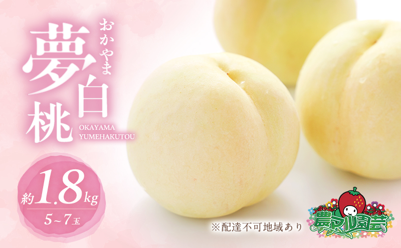 yRԔ֎sz 2026N s\    1.8kg 5`7 ip   t[c ʕ R Ԕ֎sY _}| _ ƒp