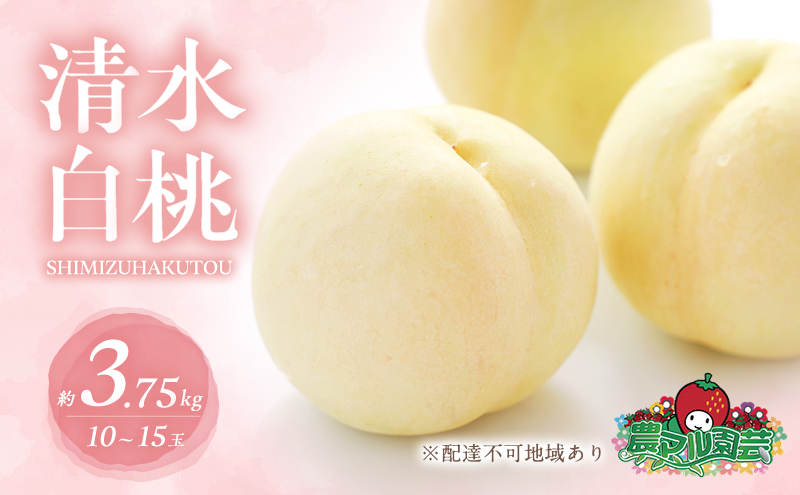 yRԔ֎sz 2026N s\   3.75kg 10`15 ip   t[c ʕ R Ԕ֎sY _}| _ ƒp 3.75L