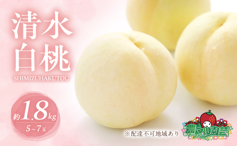 yRԔ֎sz 2026N s\   1.8kg 5`7 ip   t[c ʕ R Ԕ֎sY _}| _ ƒp