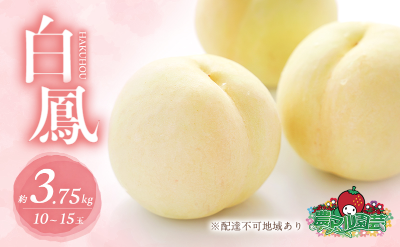 桃 2026年 先行予約 白桃 白鳳 約3.75kg 10～15玉 進物用 もも モモ フルーツ 果物 岡山 赤磐市産 農マル園芸 あかいわ農園 家庭用 