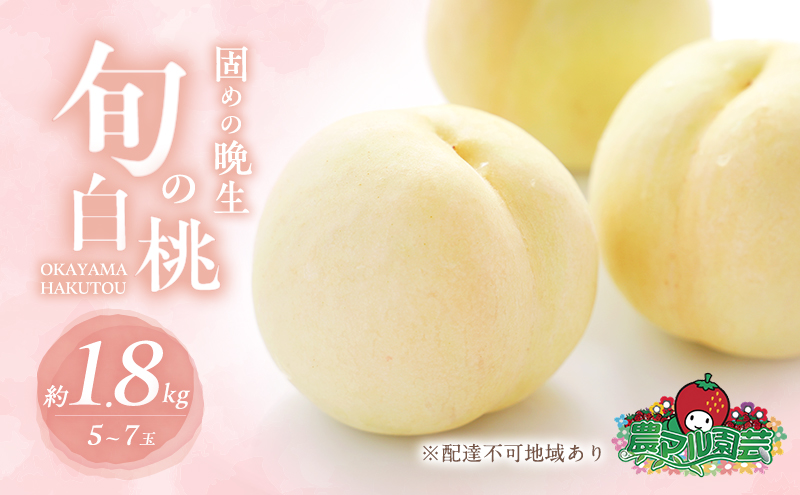 yRԔ֎szł߂  2026N s\ Ӑ̏{  1.8kg 5`7 ip   t[c ʕ R Ԕ֎sY _}| _ ƒp c I ÁXWW   ˓