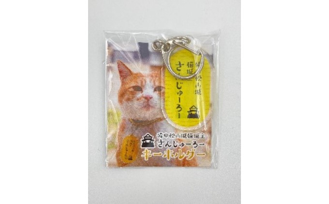 『さんじゅーろー』キーホルダー小判 3個セット 雑貨 小物 使いやすいサイズ カバン バッグ 鍵 