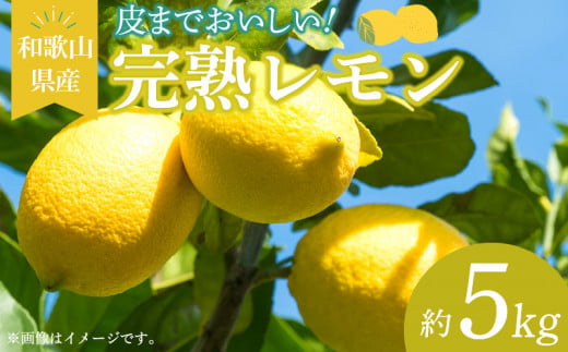 EA6009n_和歌山県産 完熟 レモン 5kg 皮まで使用可能（栽培期間中農薬不使用）