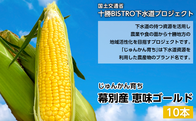 北海道幕別町のふるさと納税 とうもろこし 恵味ゴールド 10本「じゅんかん育ち」【十勝BISTRO下水道プロジェクト】北海道 十勝 幕別町 野菜