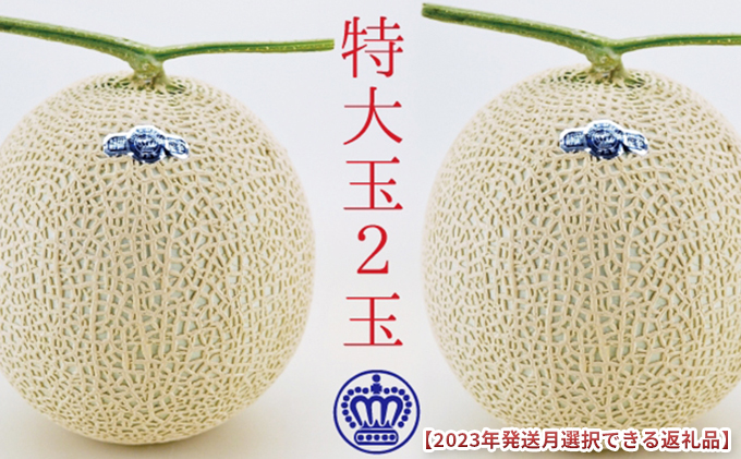 【静岡県袋井市】★発送月選択できる返礼品★ 『クラウンメロン(白等級)特大玉 2玉』  メロン 人気 厳選 ギフト 贈り物 デザート グルメ 袋井市