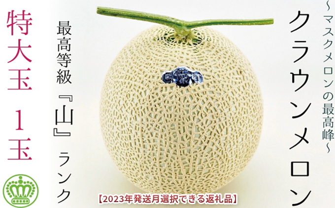 ★発送月選択できる返礼品★ 『クラウンメロン（山等級）特大玉  1玉』 ギフト箱入り メロン 人気 厳選 ギフト 贈り物 デザート グルメ  袋井市