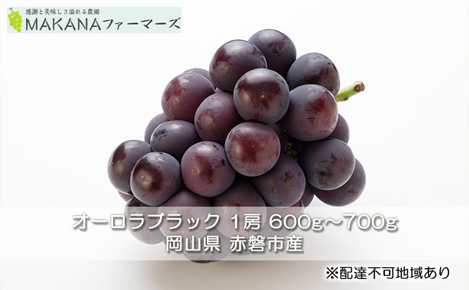 【岡山県赤磐市】ぶどう 2026年 先行予約 オーロラ ブラック 1房 600g〜700g 大粒 種無し ブドウ 葡萄 岡山県 赤磐市産 国産 フルーツ 果物 ギフト MAKANAファーマーズ 甘みが強い 香り高い デザート