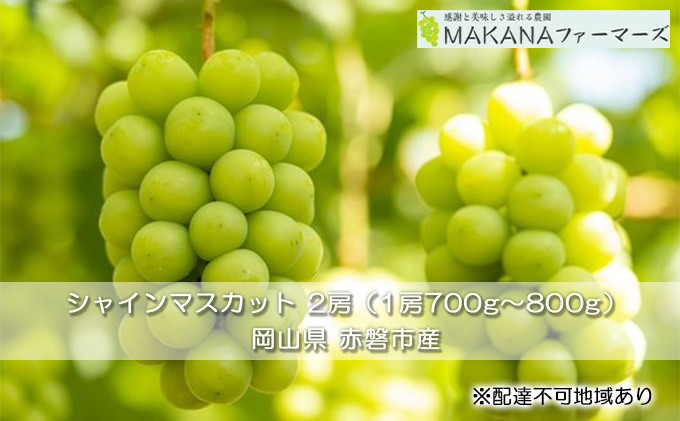 ぶどう 2025年 先行予約 シャイン マスカット 2房 （1房700g～800g） 大粒 種無し ブドウ 葡萄 岡山県 赤磐市産 国産 フルーツ 果物 ギフト MAKANAファーマーズ 種なし 皮ごと デザート 