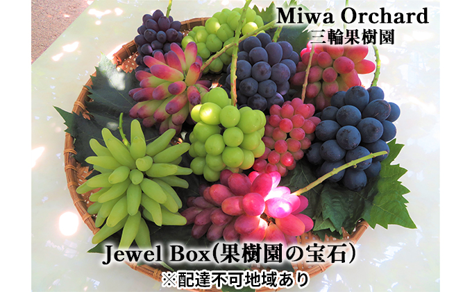yRԔ֎szԂǂ 2026N s\ WG{bNX 炲ƐHׂ邱Ƃ̂ł  4`5i l 2kg uhE  R Ԕ֎sY Y t[c ʕ Mtg O։ʎ R̂Ԃǂ Hה