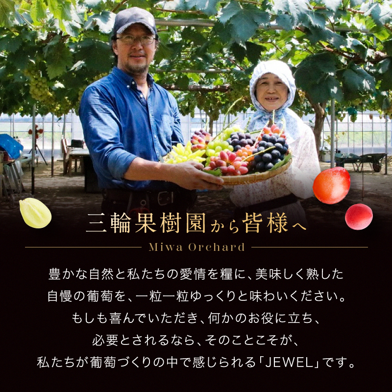 ぶどう 2026年 先行予約 ジュエルボックス 皮ごと食べることのできる