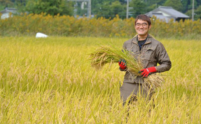 幻のお米ハツシモ 4.5kg 精米 白米 農薬 化学肥料不使用 甘み 型くずれしにくい 冷めてもおいしい お弁当 おにぎり 