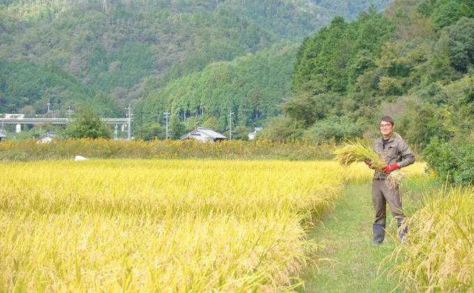 幻のお米ハツシモ 4.5kg 精米 白米 農薬 化学肥料不使用 甘み 型くずれしにくい 冷めてもおいしい お弁当 おにぎり 