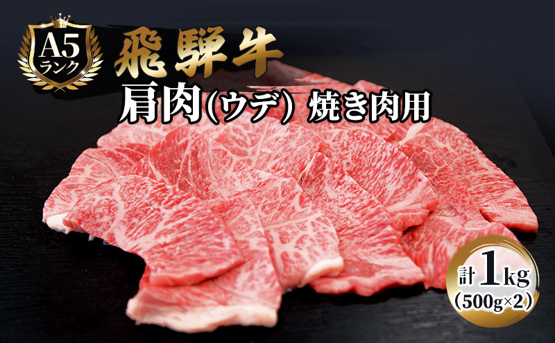 ふるさと納税　飛騨牛 牛肉 焼肉 肩肉 (ウデ)  500g×2 計1kg A5 和牛 