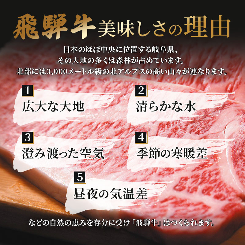 ふるさと納税　飛騨牛 牛肉 ステーキ サーロイン 180g×5枚 計900g A5 和牛 