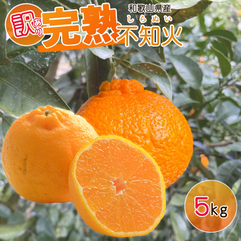 AB7347_Y_01_【直営限定】【2026年先行予約】1月発送 農園直送!完熟