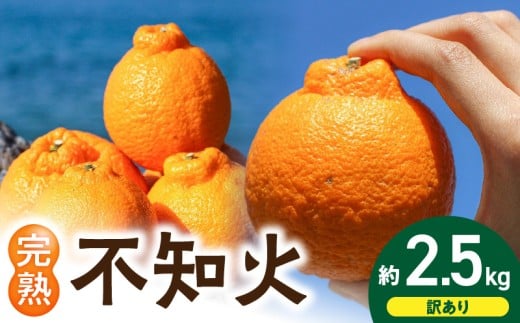 EA6020n_【訳あり・ご家庭用】 和歌山県産 完熟 不知火 2.5kg 甘酸っぱい味わいと芳醇な風味がたまらない高級柑橘!