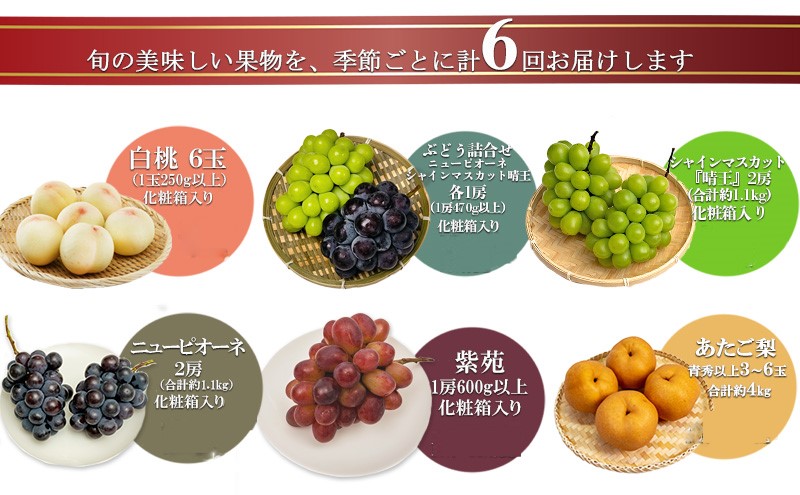 フルーツ 2026年 先行予約 晴れの国 岡山 の フルーツ 定期便 6回コース 桃 ぶどう 梨 岡山県産 国産 フルーツ 果物 ギフト マスカット 