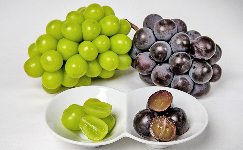 フルーツ 2026年 先行予約 晴れの国 岡山 の フルーツ 定期便 6回コース 桃 ぶどう 梨 岡山県産 国産 フルーツ 果物 ギフト マスカット 